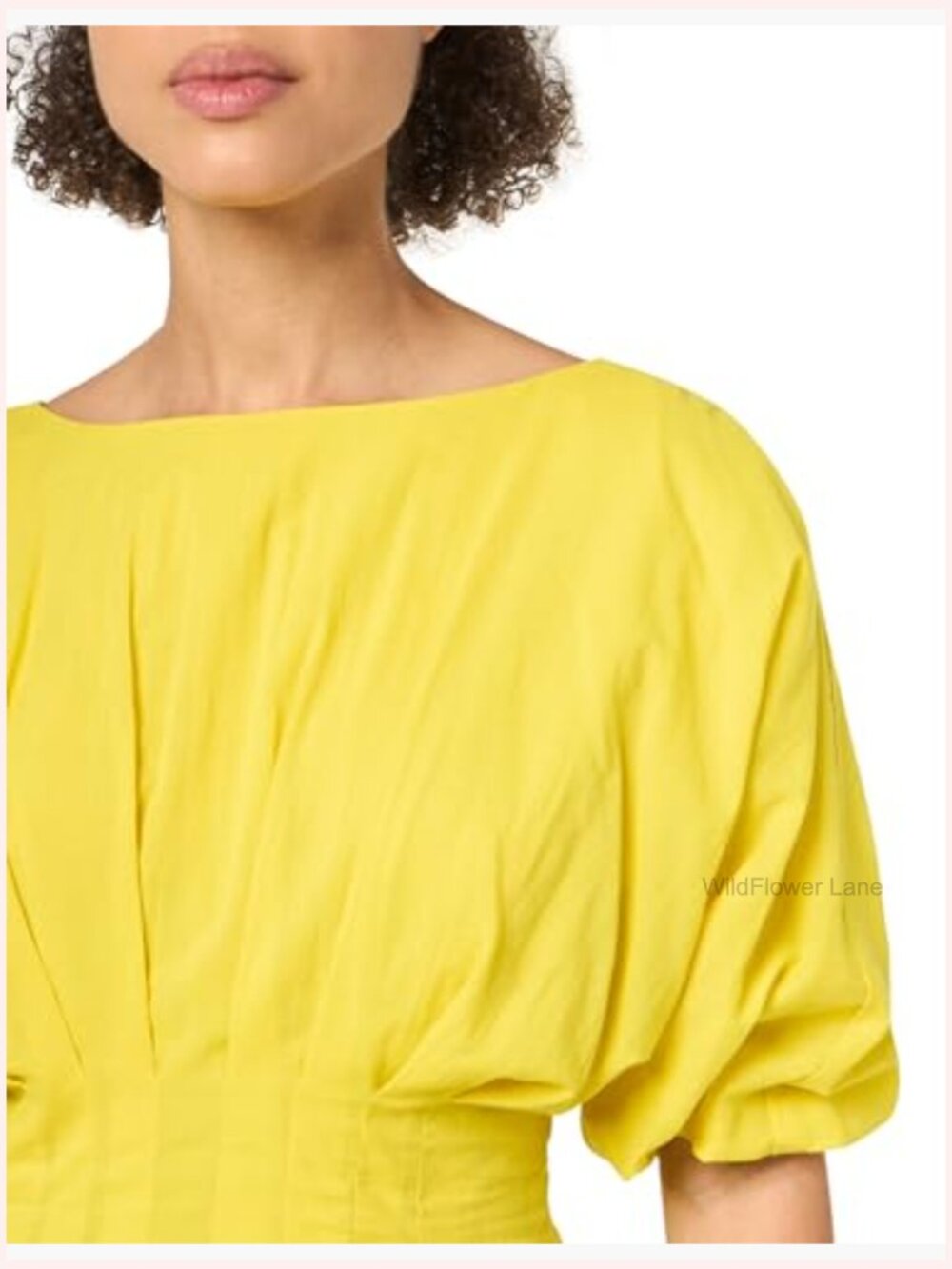 Crew Neck Blouse with Puff Sleeves and Pleated Bodice - Picture 2 of 3